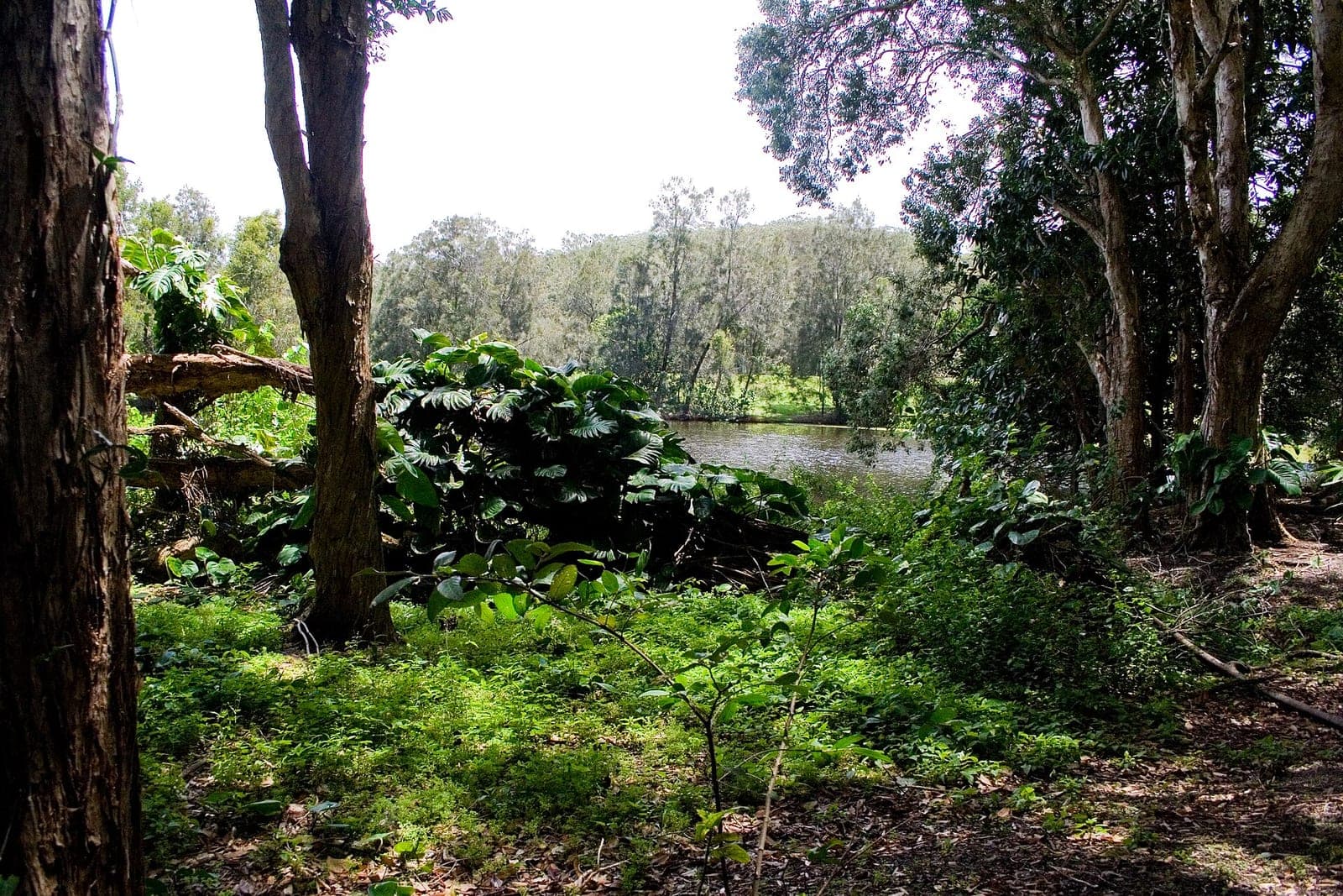 Currumbin & Southern Gold Coast