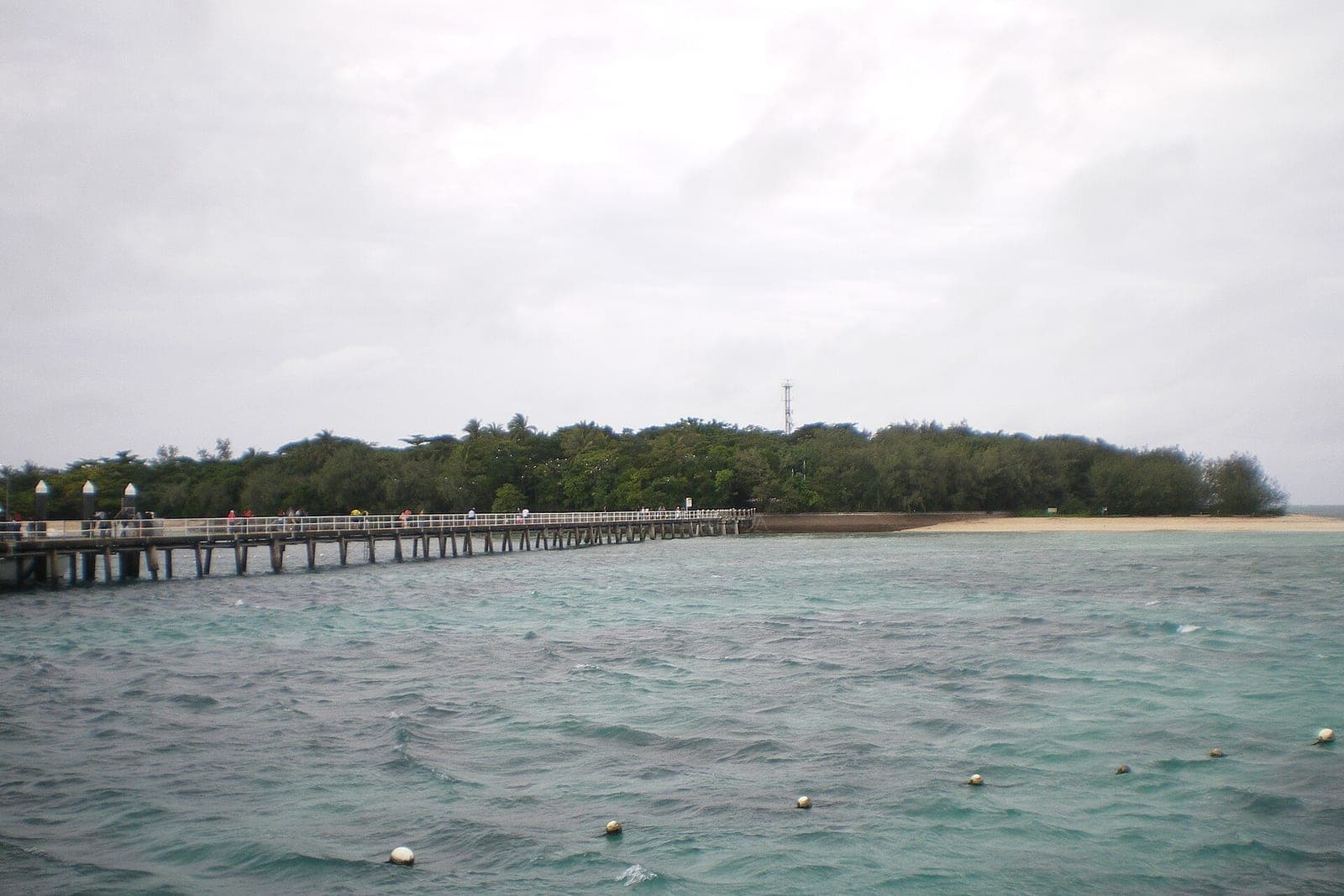 Green Island Reef Cruise