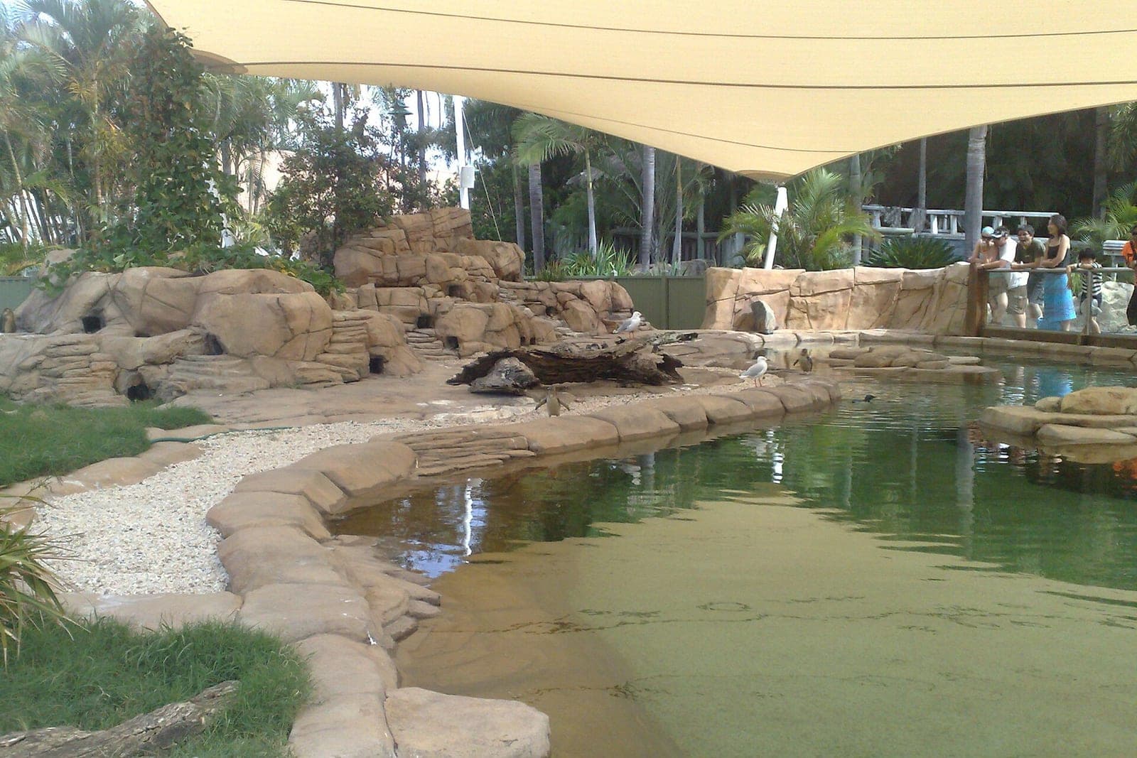 Gold Coast With Kids: Theme Parks & Wildlife Guide