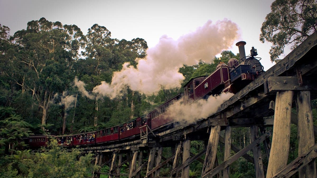 Dandenong Ranges & Puffing Billy