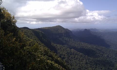 Springbrook National Park