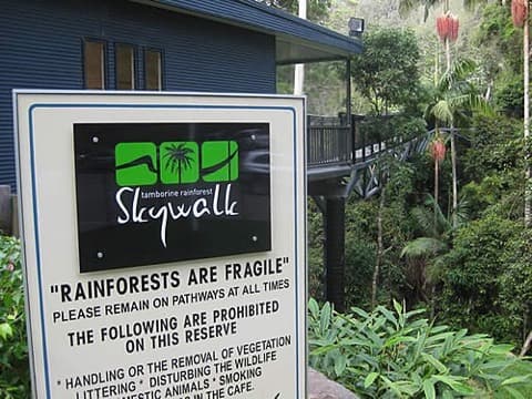 Gold Coast Rainforest & Hinterland